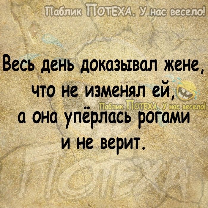 Весь день доказывал жене что не изменял ей_ _ а она уПёрЛаСь рогами и не верит