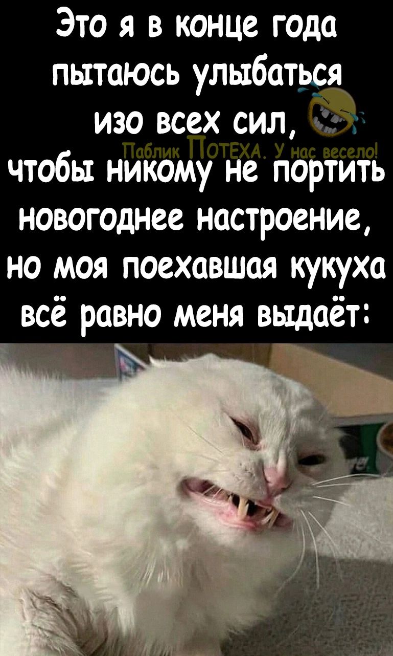 Это я в конце года пытаюсь улыбаться изо всех сил чтобы никому не портить новогоднее настроение но моя поехавшоя кукуха всё равно меня выдаёт