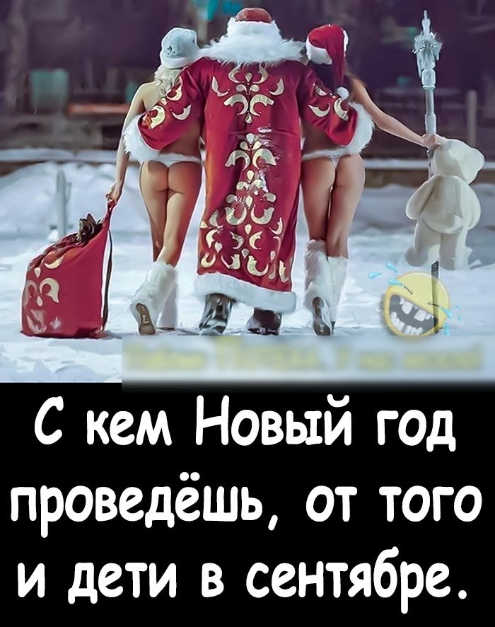 С кем Новый год проведёшь от того и дети в сентябре