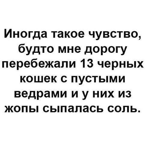 Иногда такое чувство будто мне дорогу перебежапи 13 черных кошек с пустыми ведрами и у них из жопы сыпалась соль