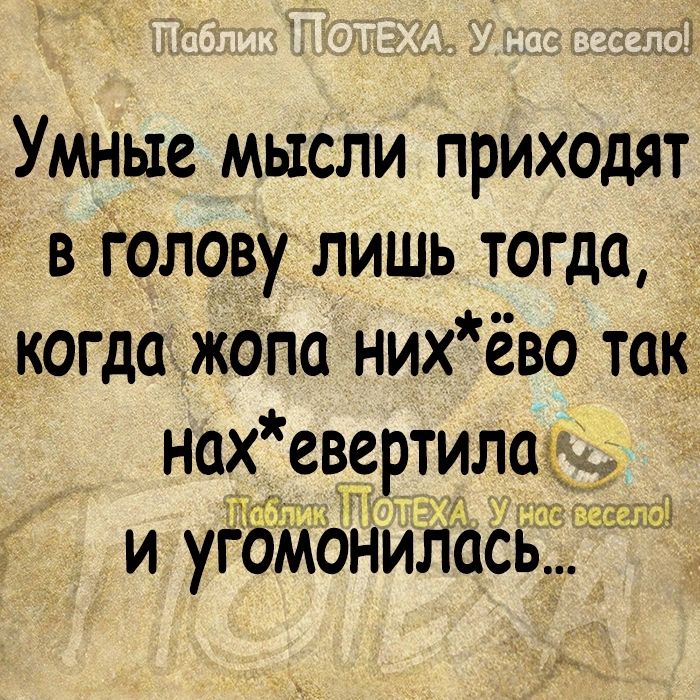 х Умные мысли приходят в Голову лишь тогда когда жопа нихёво так нах евертилагк о и угомонилась