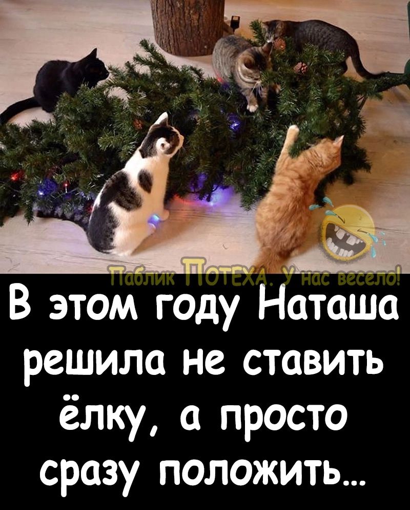 В этом году Наташа решила не ставить ёлку а просто сразу положить