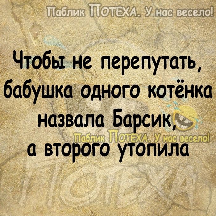 _ Чтобы не перепутать бабушка одного котёнка назвала Борсик второго ут0пила Ё