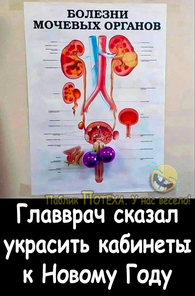 БОЛЕЗНИ МОЧЕВЬіХ ОРГАНОВ Главврач сказал украсить кабинеты к Новому Году
