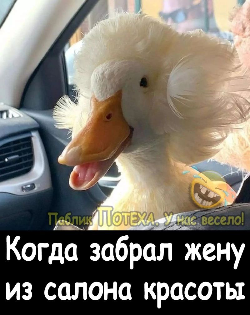 Когда забрал жену из салона красоты