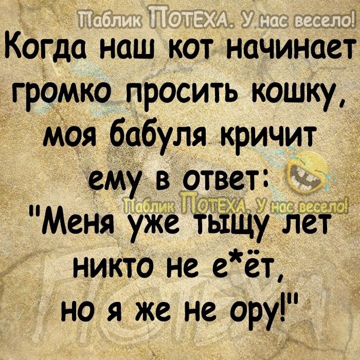 т Когда наш кот начинает громко просить кошку Моя бабуля кричит ему в _9твет Меня уже тёщу Лёт никто не е ёт но я же не ору