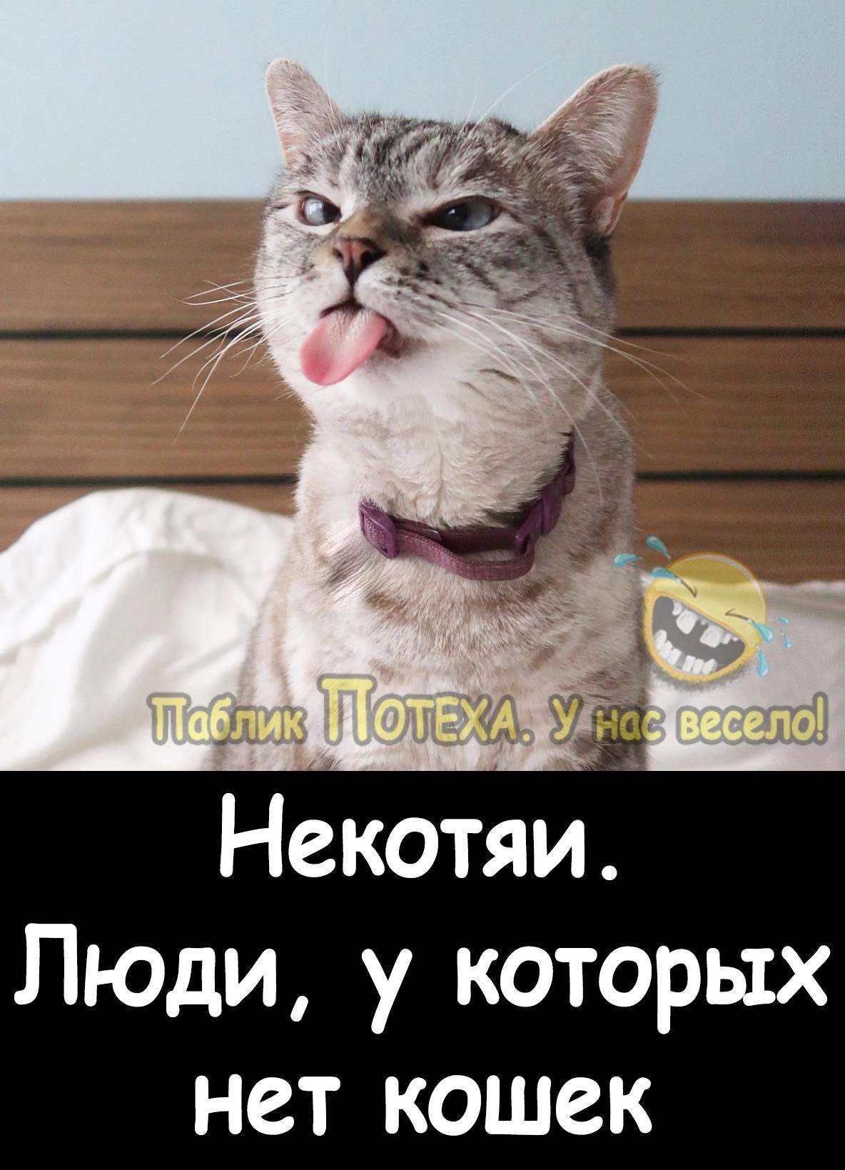 Некотяи Люди у которых НСТ КОШСК