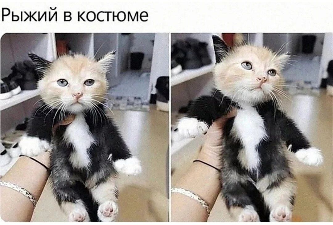 Рыжий в костюме