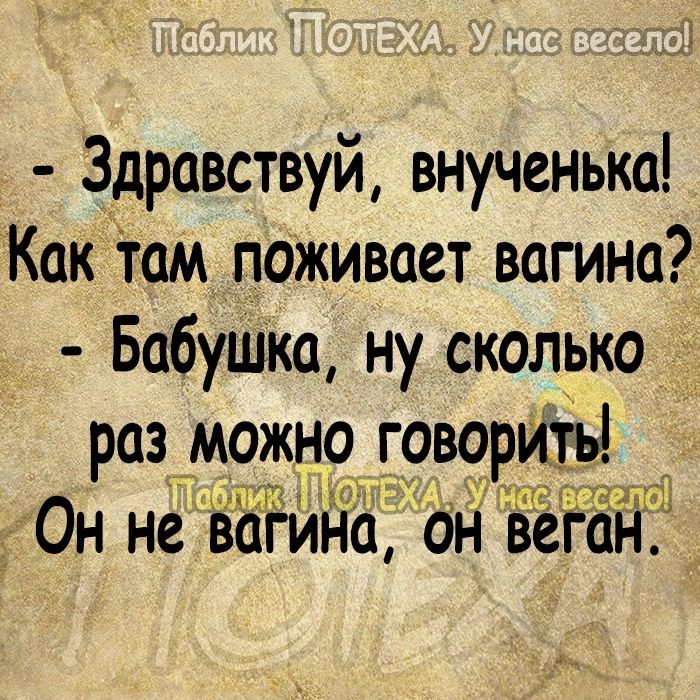 Здравствуй внученька Как там поживает вагина БабуШка ну сколько раз можно говорил ШУТ г Он не вогиНа он вега