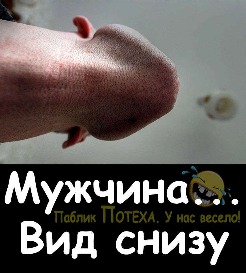 Мужчинсгё Вид снизу