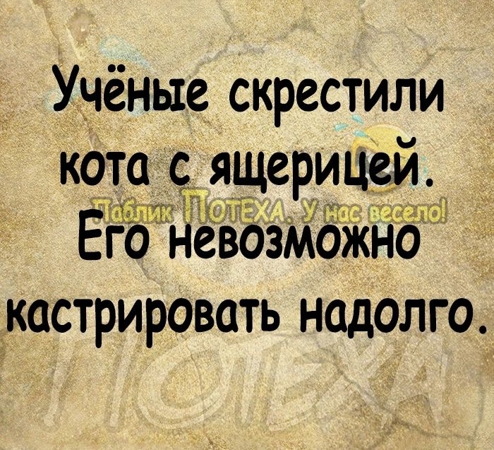 Учёные скрестили кота с ящерицеи Ёго Невозможно ъкастрировать надолго