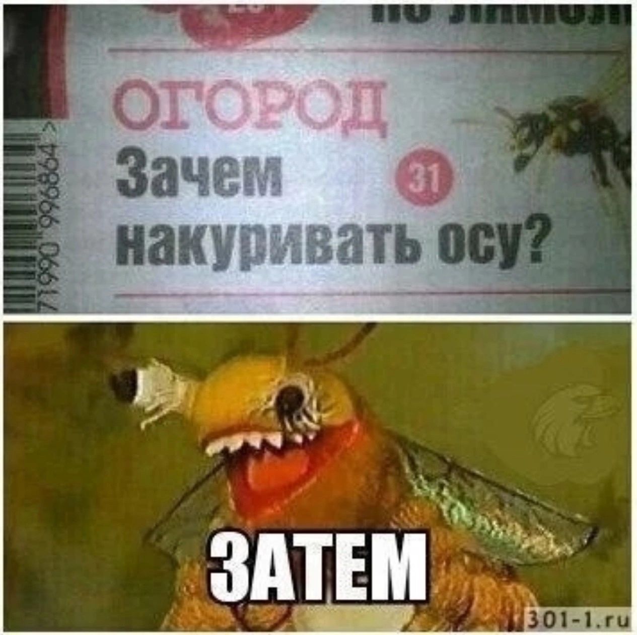 ог д _ _ Зачет накушёвать Ё