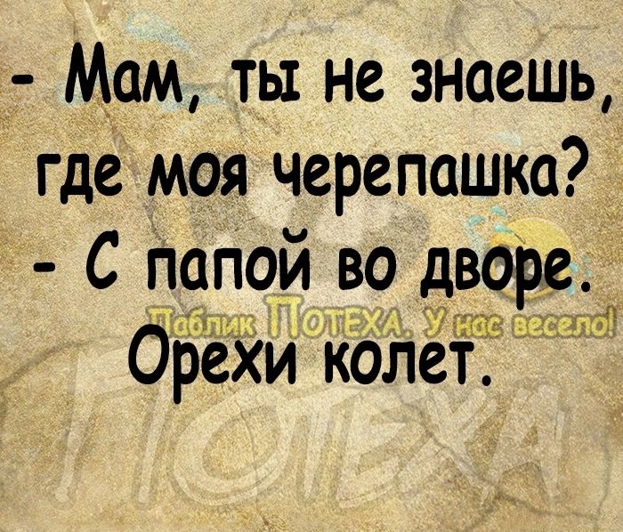 т М_ам ты не знаешь где моя черепашка С Папой во дворе Ётд 359 Орехи колет