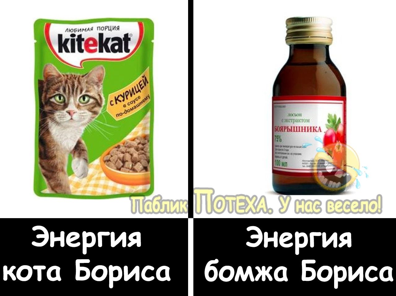 Энергия Энергия кота Бориса бомжа Бориса