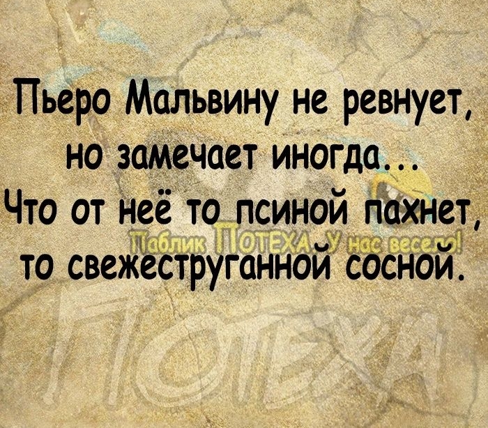 Пьеро Мальвину не ревнует но замечает иногда ЧТО ОТ Неё ТО ПСИНОй МИНЕТ эщщ мг ТО СВСЖЁСТРУГОННОИ СОСНОИ