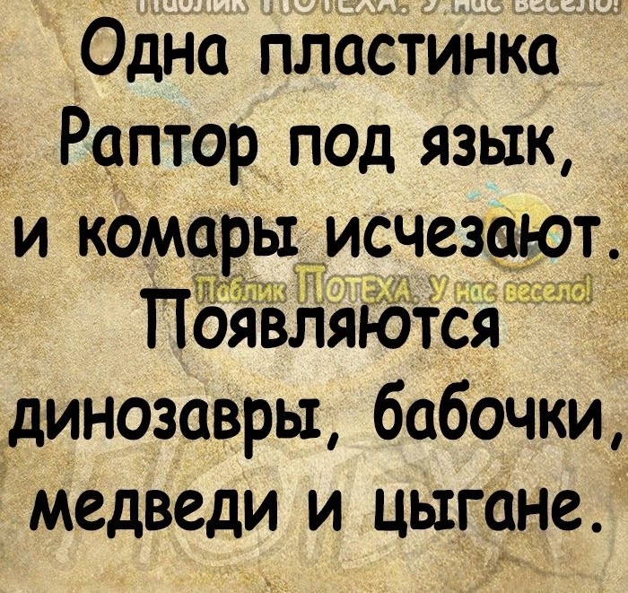 Одна плаСтинка Раптор под язык и комары исчезают ПЁЁЬляЮтся 1 динозавры бабочки медведи и цыгане