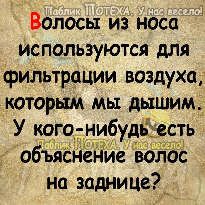 Волосы из носа используются для фиЛьтрации воздуха которым мы дышим5 У кого ибудьёсіть объясн ние волос на заднице