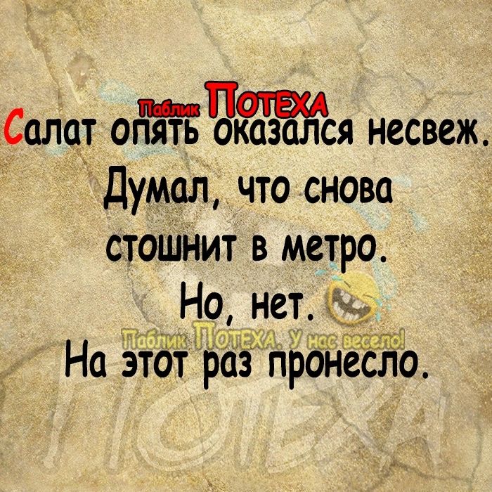 Салат опяЧьЧказ ся несвеж Думал что снова стоШнит в метро Но нет бы На этот рапронесло