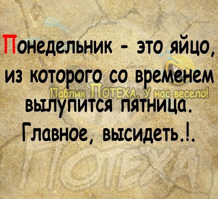 Понедельник это яйцо из кото ого со вреенетзл вылугіитёя пятниц _ Главное высидеть