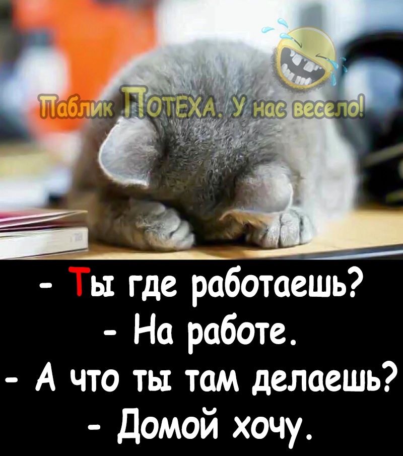 ы где работаешь На работе А что ты там делаешь Домой хочу