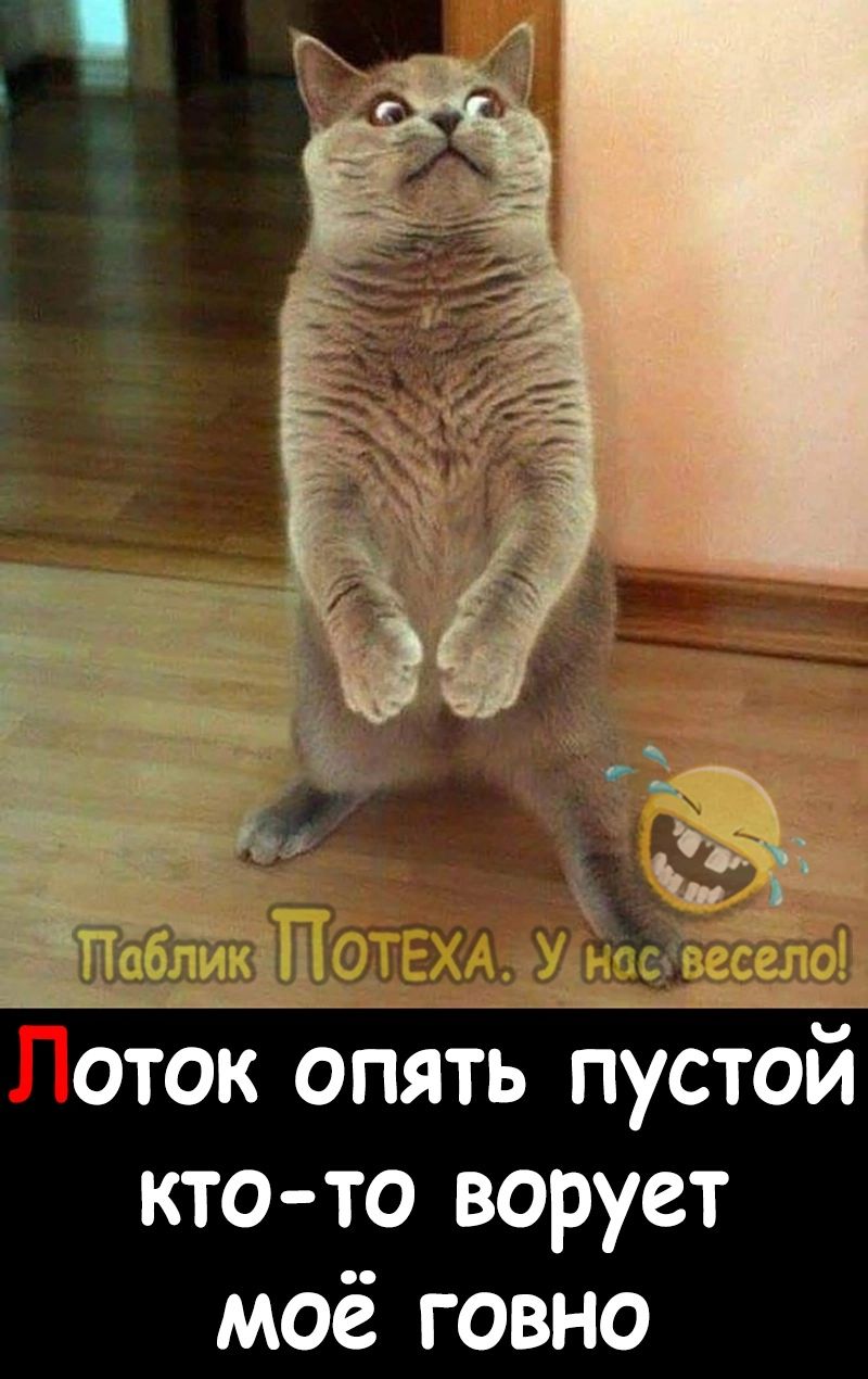 оток огТять кто то ворует моё говно