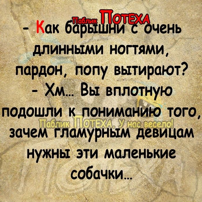 Как чень длинными ногтями пардон попу вытирают Хм Вы вплотную подошли к понимаНИю того зачеМ ёломурнымвдёЁиЦам нужны эти маленькие собачки