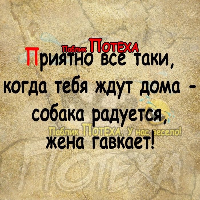 Придідзтжёаки когда тебя ждут дома 1 собака радуется же Га гавкаеё