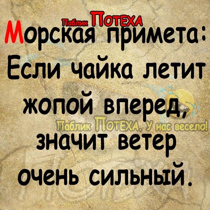 МорсЁдгЁБймета чЕсли чайка летит жопой впе ед значит ве р очень сильный