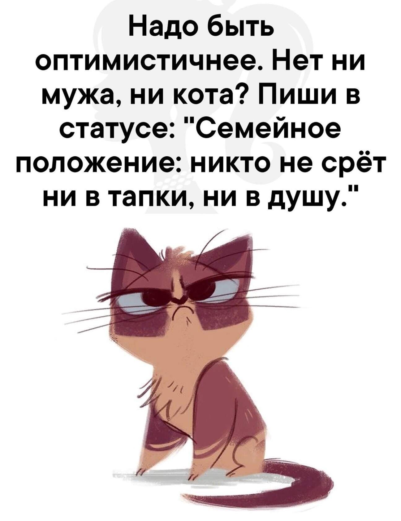 Надо быть оптимистичнее Нет ни мужа ни кота Пиши в статусе Семейное положение никто не срёт ни в тапки ни в душу