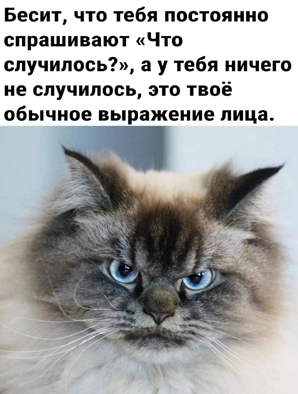 Бесит что тебя постоянно спрашивают Что случилось а у тебя ничего не случилось это твоё обычное выражение лица