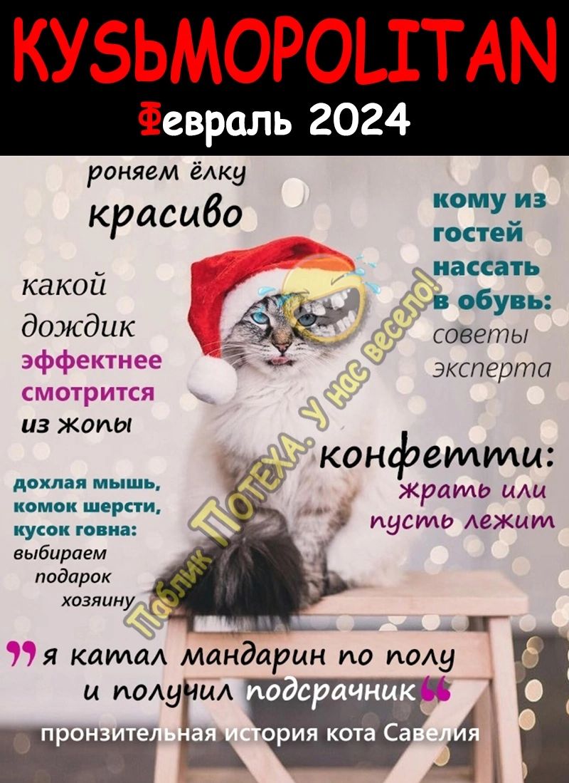 КУБЬМОРОЦТАМ Февраль 2024 роялем еАку кому из Красиво гост й какдй ЗССПТЪ т обувь дрдик 5 советы 5 эксперта из жопы конфетти доши мышь ТА жраима иАи пиши кусок пли еыбирпем падарок хозяину я кама Мандарин по иаАу и иоАуГЦА грации рия кота Са Я идеями Аежмид