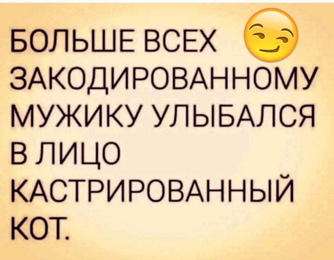 БОЛЬШЕ ВСЕХ ЗАКОДИРОВАННОМУ мужику УЛЫБАЛСЯ влицо КАСТРИРОВАННЫЙ кот