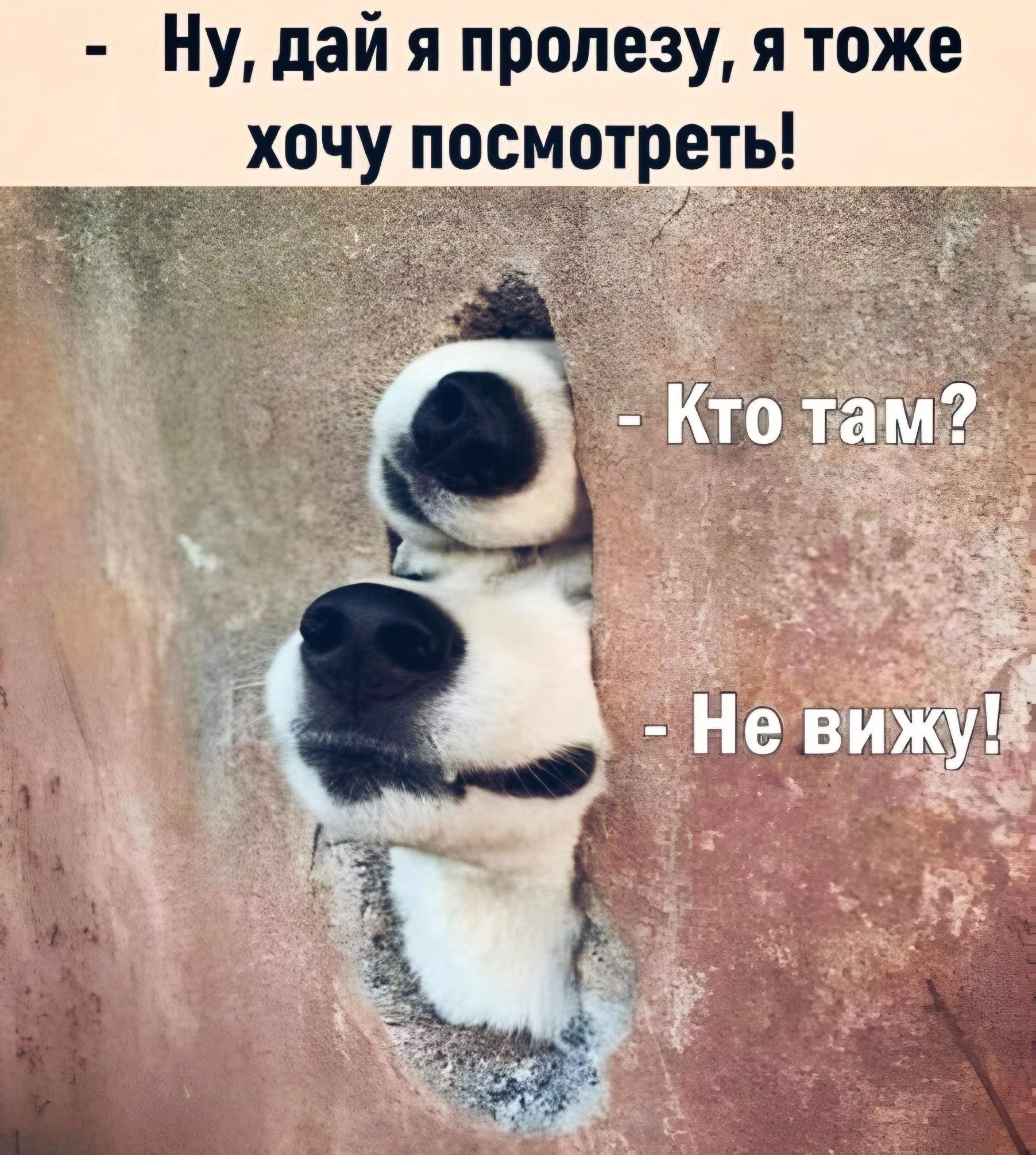 НУ дай я пропезу я тоже хочу посмотреть