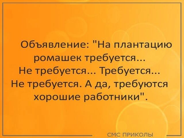 Объявление На плантацию ромашек требуется Не требуется Требуется Не требуется А да требуются хорошие работники смс приколы _