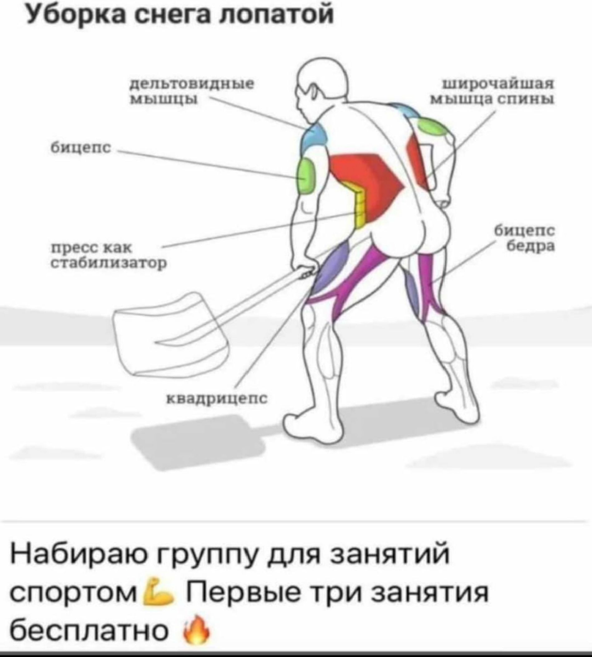 Уборка снега лопатой дит ции мышцы _ шитчіішп и и сплин Вицин ш пиипиппв кпдрьшепс Набираю группу для занятий спортомь Первые три занятия бесплатно