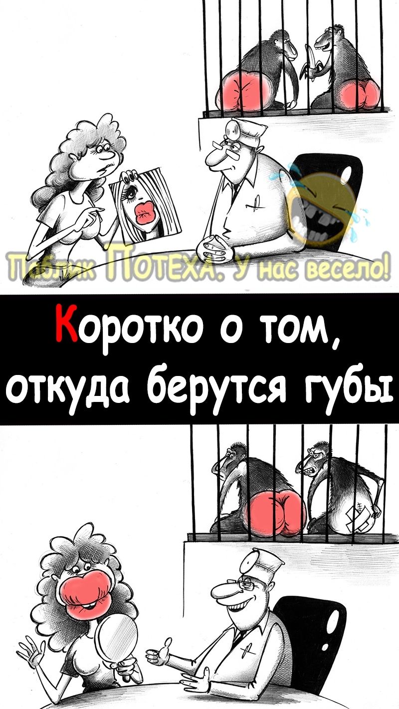 Коротко о том откуда берутся губы