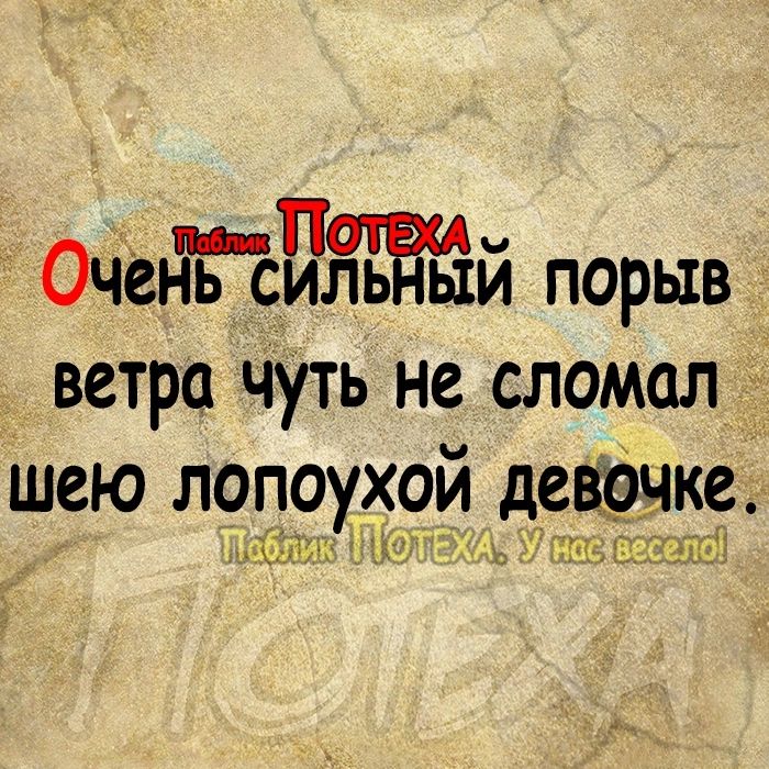 ОчеъТПилЧьЁыши порыв ветра чуть не сломал шею лопоухои дешевке киш и кгс АЮ