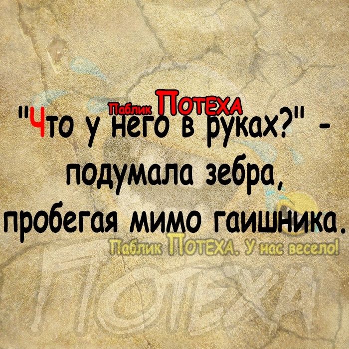 что утдахг подумала зебра пробегая мимо_ гаишёіика ГіщТшН 37 ЬСЗЬЛЩ