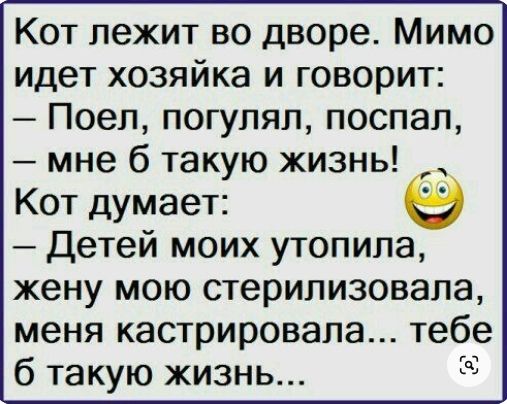 Кот лежит во дворе Мимо идет хозяйка и говорит Поел погупяп поспал мне 6 такую жизнь Кот думает Детей моих утопила жену мою стерилизовала меня кастрировала тебе По 6 такую жизнь