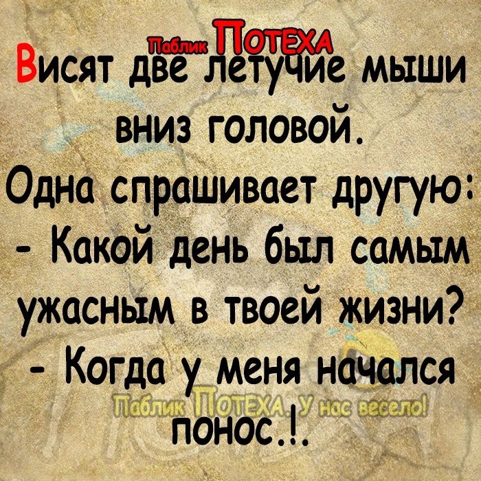 Висят дёЁдЁЁЙе мыши вниз головой Одна спрашивает другую Какой день был самым ужасным в твоей жизни Когда у_ меня начался 1 ЛЧОН 7 57 33319 понос