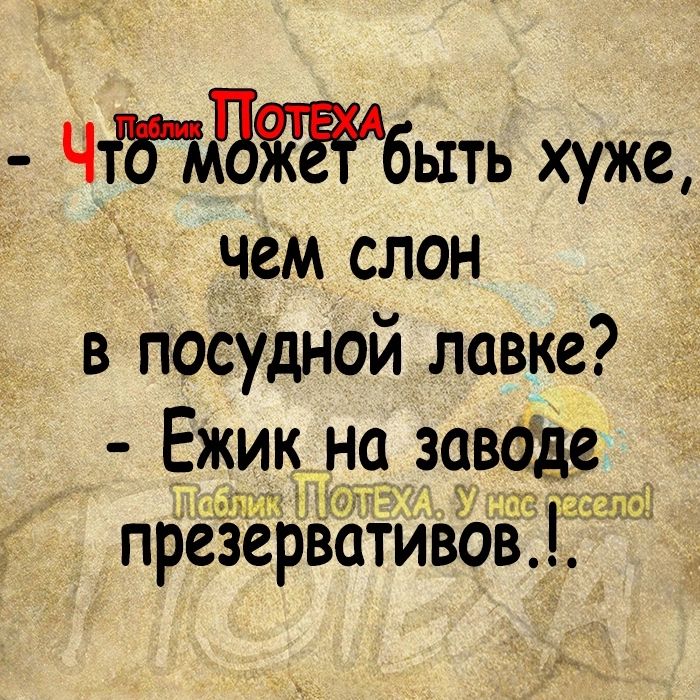 чтчтбыть хуже чем слон в посудной лавке Ежик_ н9 з9в6де при т1 презервативов