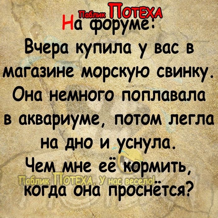 НЧ Вчера купила у вас в магазине морскую свинку Она немного поплавала _ в аквариуме потом легла на дно и уснула Чем мне её кормить Гл 377 оіда она гірдснётся