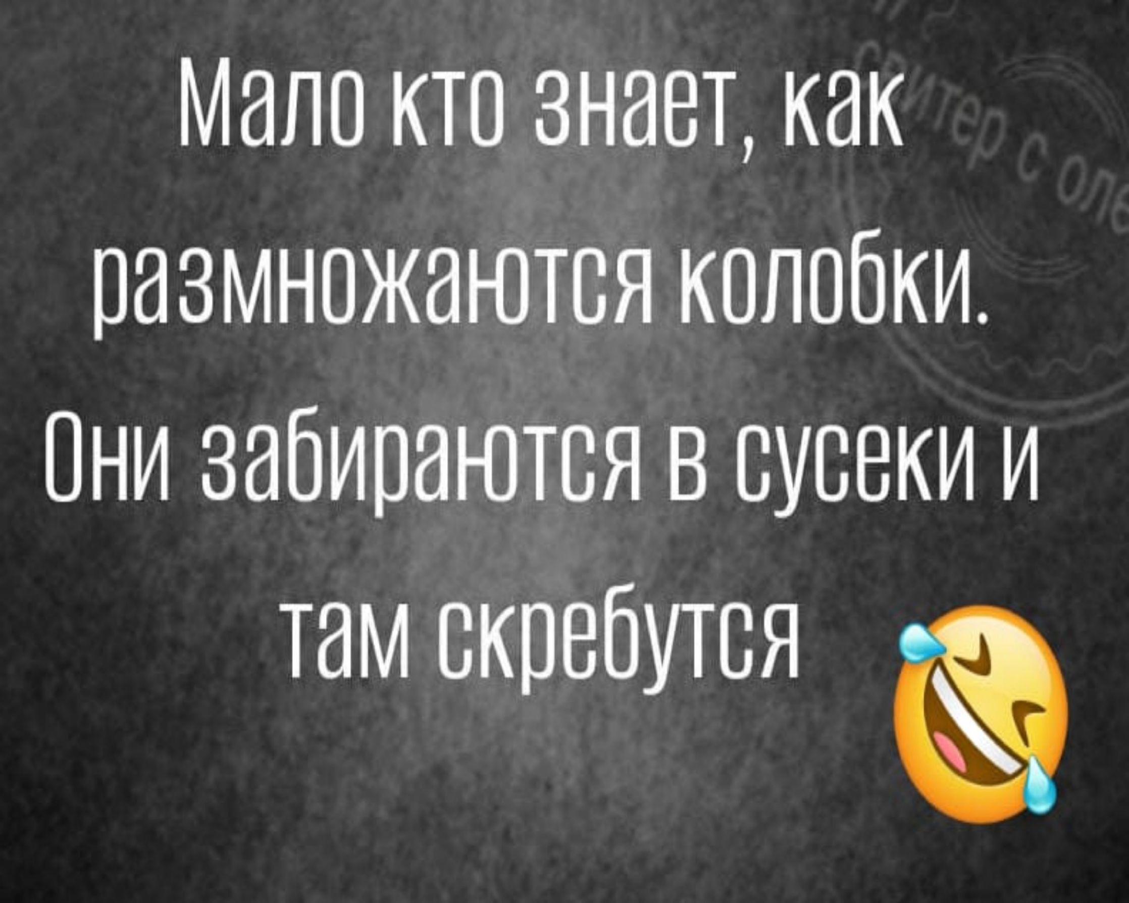 Мало кто знает как размножаются колобки Они забираются в сусвки и там скребутся