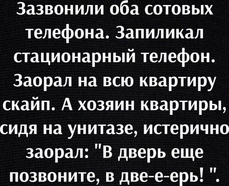 Зазвонипи оба сотовых телефона Запиликал стационарный телефон Заорал на всю квартиру скайп А хозяин квартиры сидя на унитазе истерично заорал В дверь еще позвоните в две е ерь