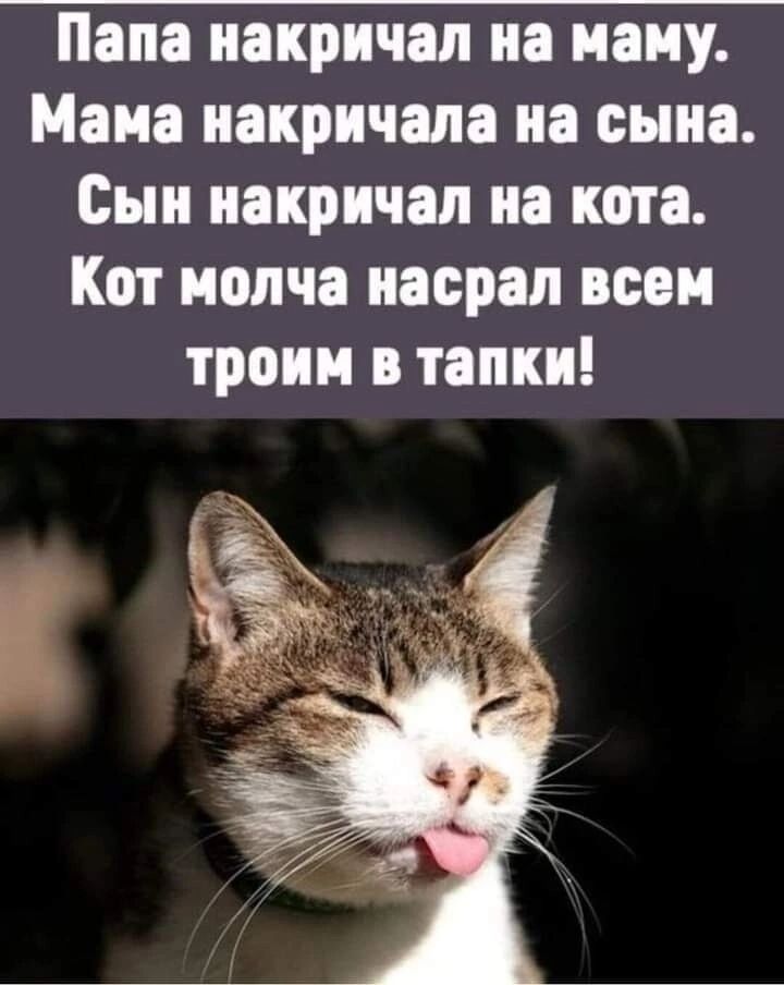 Папа иакричап на маму Мана иакричала на сына Сын иакричап на кота Кот молча насрал всем троим тапки