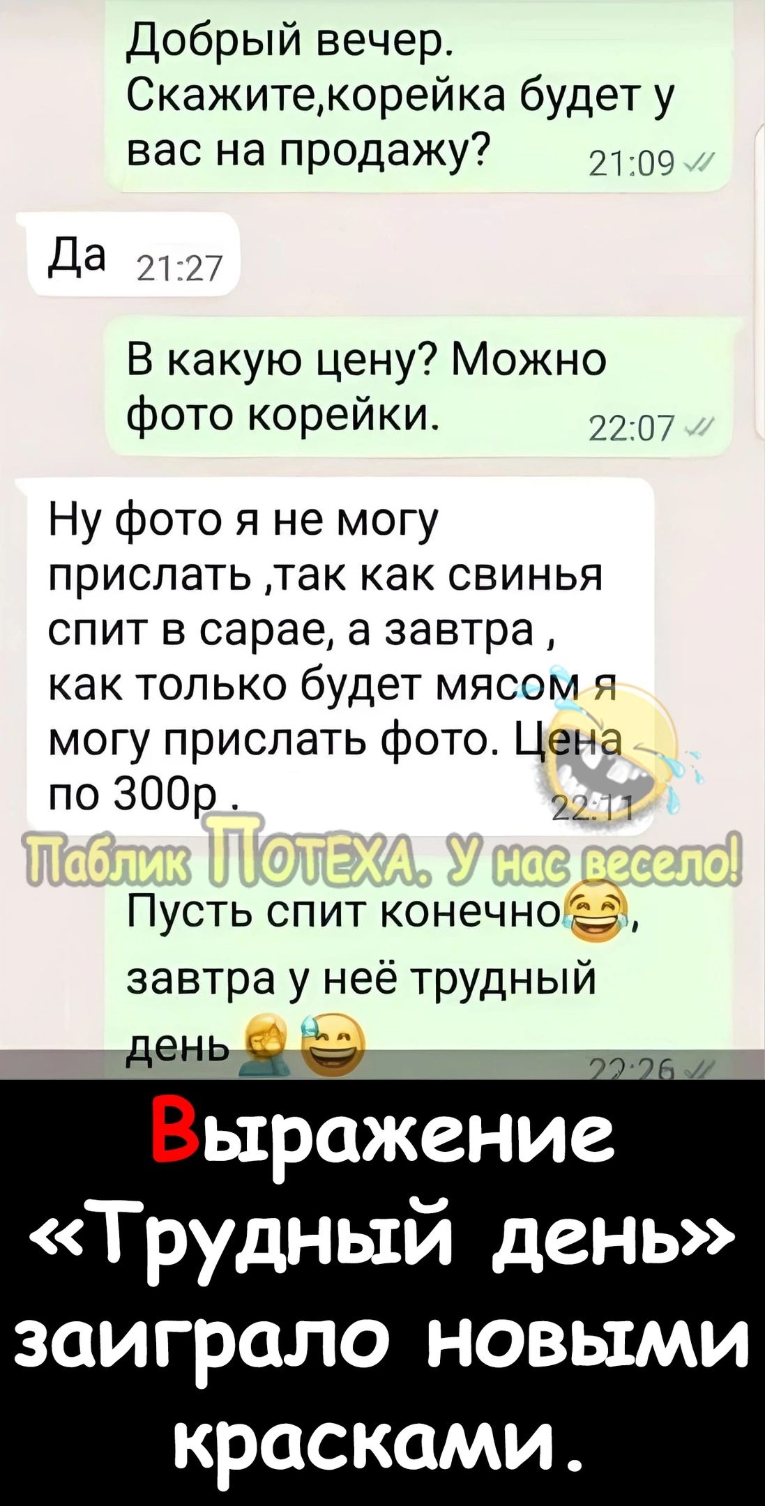 Добрый вечер Скажитекорейка будет у вас на продажу 39 Да 2ч2 В какую цену Можно фото корейки 22 07 Ну фото я не могу прислать так как свинья спит в сарае а завтра как только будет мясом я могу прислать фото Цена по 300р ги Пусть спит конечно 13 завтра у неё трудный день Ёі Выражение Трудный день ЗОИГРОЛО НОВЫМИ КРОСКОМИ