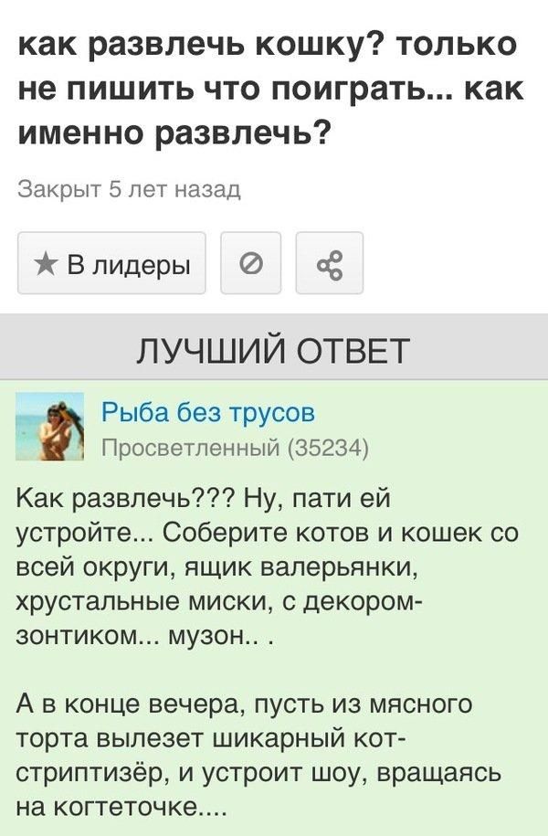 КВК развлечь КОШКУ ТОЛЬКО не ПИШИТЬ ЧТО поиграть как именно развлечь Закрыт 5 лет назад В лидеры лучший ОТВЕТ Рыба без трусов Просветленный 35234 Как развлечь Ну пати ей устройте Соберите котов и кошек со всей округи ящик валерьянки хрустальные миски с декором зонтиком музон А в конце вечера пусть из мясного торта вылезет шикарный кот стриптизёр и устроит шоу вращаясь на когтеточке