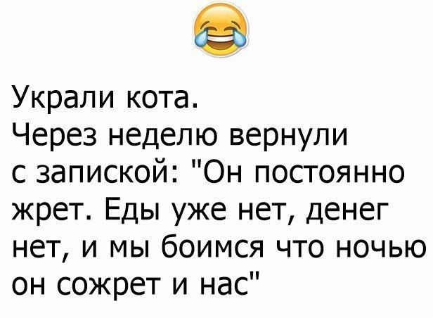 Украли кота Через неделю вернули с запиской Он посгоянно жрет Еды уже нет денег нет и мы боимся что ночью он сожрет и нас