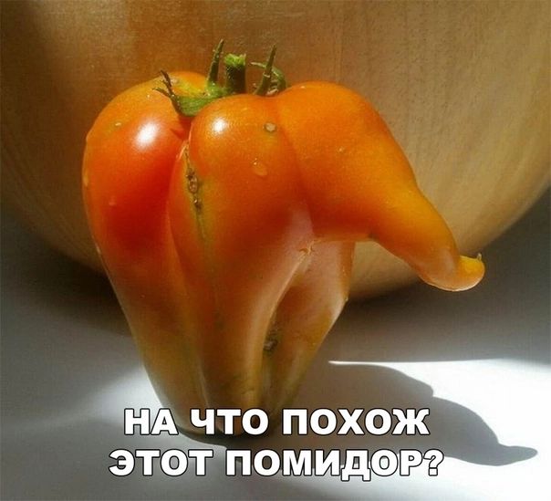 _ ТО ПОХОЖ ОМ Ён