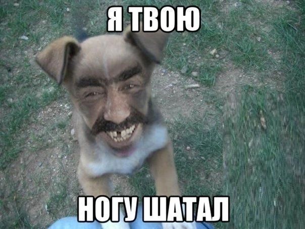 _НПЩШМАП